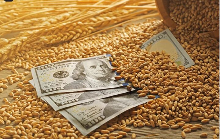 قیمت نهاده ها