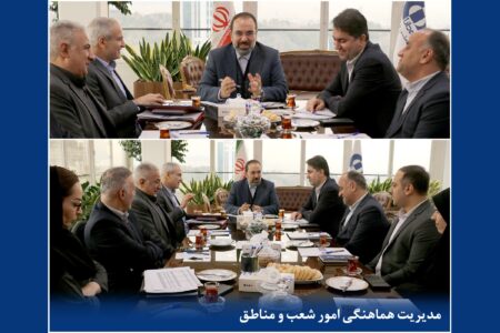 جلسه بررسی برنامه‌ها و ارزیابی عملکرد سال‌جاری معاونت بازاریابی و شبکه فروش بیمه دانا