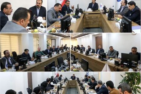 جلسه دیدار و تبادل نظر با اعضای انجمن‌ صنفی نمایندگان حقیقی و حقوقی بیمه دانا
