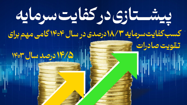 کسب کفایت سرمایه