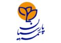 از ۶۲۵ ریال به ۲۴۰ ریال؛ افت ۶۲ درصدی سود نقدی بیمه پارسیان