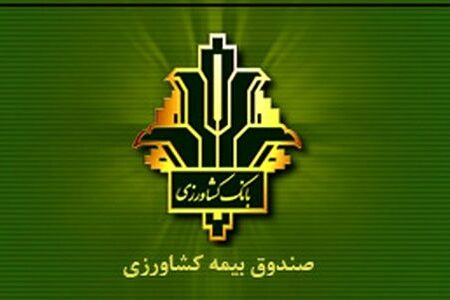افزایش ۱۴۰ درصدی غرامت پرداختی به کشاورزان خسارت دیده