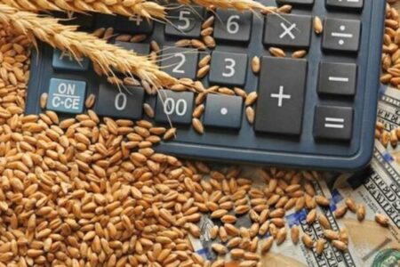 خرید تضمینی گندم؛ رشد اسمی، افت واقعی