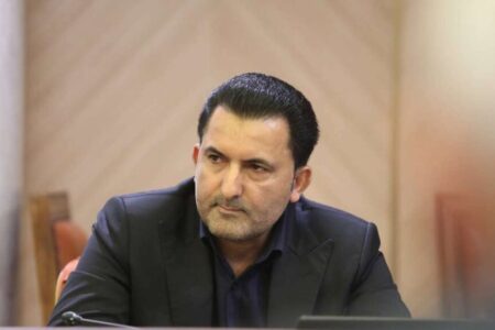 کاهش مداخله دولت در بازار مرغ و تخم مرغ| برای افزایش سرانه گوشت قرمز برنامه داریم