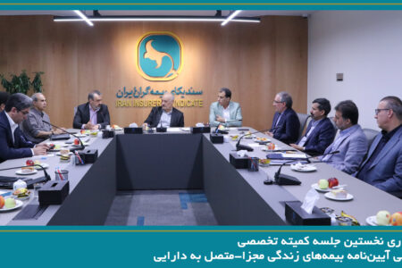 برگزاری نخستین جلسه کمیته تخصصی بررسی آیین‌نامه بیمه‌های زندگی مجزا ـ متصل به دارایی