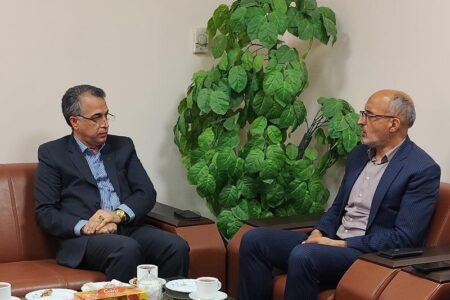 بانک مسکن ۶۷۰۰ خانواده در استان خراسان جنوبی را خانه دار کرد| نقش محوری بانک مسکن در شتاب‌بخشی به نهضت ملی