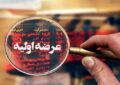 عرضه اولیه بازار سهام کشف قیمت شد